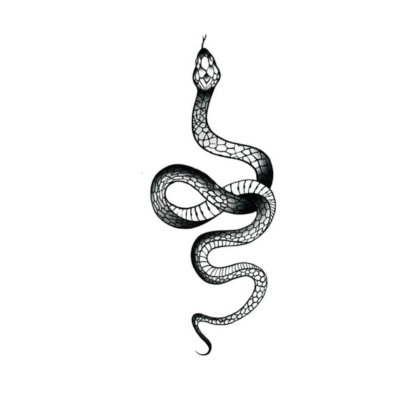 Classic Skull Temporary Skeleton Mouth Tattoo Halloween Costume for Men and Women, Adult, Scary Face Tattoos (HT10)