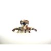 Medium/small multi colored marbled hair claw clip for fine, thin hair