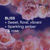 Downy Infusions Fabric Softener Dryer Sheets, Bliss, Sparkling Amber & Rose, 105 Sheets (Pack of 1)