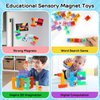 TOY Life 36PCS Magnetic Blocks for Kids Ages 4-8, Magnetic Building Blocks for Toddlers 3-5, Magnet Blocks, Magnetic Toys, Magnet Toys for Toddler, Kids Building Blocks, Toddler Building Toys for Kids