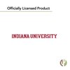 Desert Cactus Indiana University 22oz Rally Tumbler Hoosiers Bloomington Insulated Stainless Steel with Lid and Straw Reusable Double Walled Cup Hot and Cold Drinkware Full Color 22 Ounces (Red)