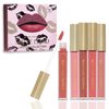 Beauty Concepts 5-Piece Matte Liquid Lipstick Set - Vivid Reds and Pinks, Long-Lasting Formula (2ml each), Pink