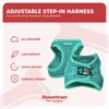 Downtown Pet Supply Step in Dog Harness for Small Dogs No Pull, Medium, Bermuda Blue - Adjustable Harness with Padded Mesh Fabric and Reflective Trim - Buckle Strap Harness for Dogs