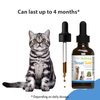 Pet Wellbeing Throat Gold for Cats - Vet-Formulated - Soothes Throat Discomfort and Occasional Cough, Supports Upper Respiratory Tract - Natural Herbal Supplement 2 oz (59 ml)