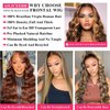 AILICEEHR Highlight Ombre 5×5 Lace Closure Wigs Human Hair Pre Plucked Honey Blonde Body Wave Lace Front Wigs Human Hair 180% Density HD Lace P4/27 Balayage Colored Glusless Wigs 20 Inch