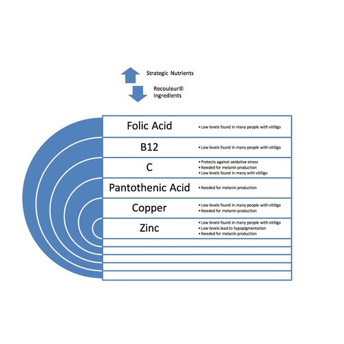 Recouleur Vitiligo Vitamin and Mineral Supplement for White Spot and Skin Pigmentation Support - 6 Month Supply - Treatment Therapy Targets Leucoderma Leukoderma and Repigmentation of Discolored Skin