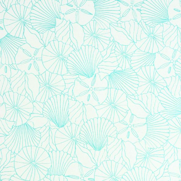 Gift Wrap - Shells - Cream/Turquoise