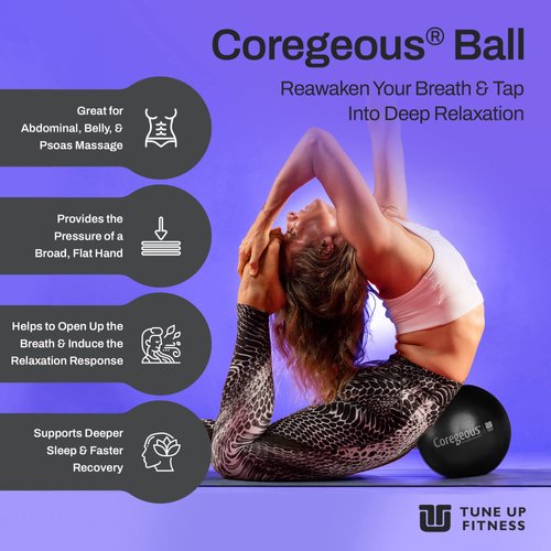Tune Up Fitness – Coregeous Ball | Psoas Release, Abdominal, Belly & Lower Back Massager | Therapy Stretch Ball for Lower Back Pain, Stress & Digestive Relief, Improved Breathing & Sleep (Graphite)