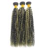 Niciitysi P1B/27 Kinky Curly Bundles Highlight Human Hair Bundles Honey Blonde Curly Wave Bundles 24 26 28 inch Double Weft Brazilian Virgin Remy Hair Extensions Two Tone Black and Blonde Bundles