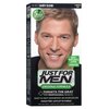 JUST FOR MEN Hair Color H-10 Sandy Blond 1 ea (Pack of 6)