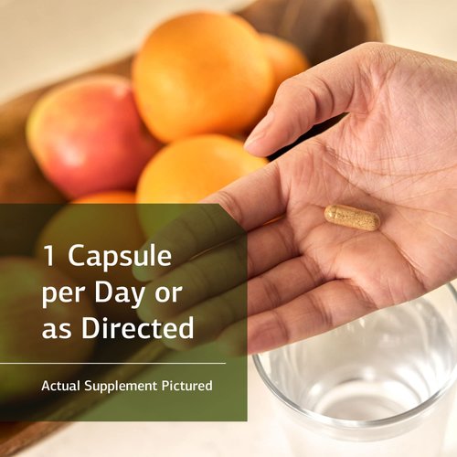 Standard Process Cruciferous Complete - Whole Food Antioxidant, Detox and Liver Support with Vitamin K, Organic Kale and Brussel Sprouts - 90 Capsules