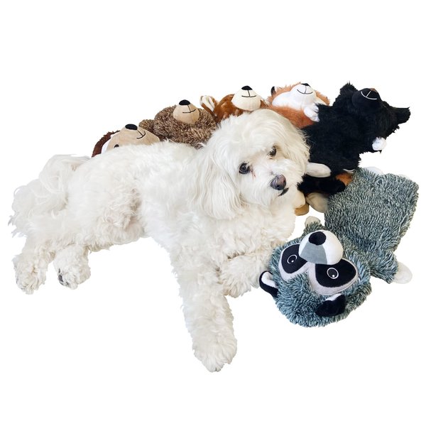NO Stuffing Jumbo Raccoon Plush Dog Toy 18" Long x 8" Crinkle Fabric, Squeaker, 4" Thick Plush Head. Allows Smaller Aggressive Chewers to Safely Play Without The Mess of Torn Fluff by Throw Me A BONE