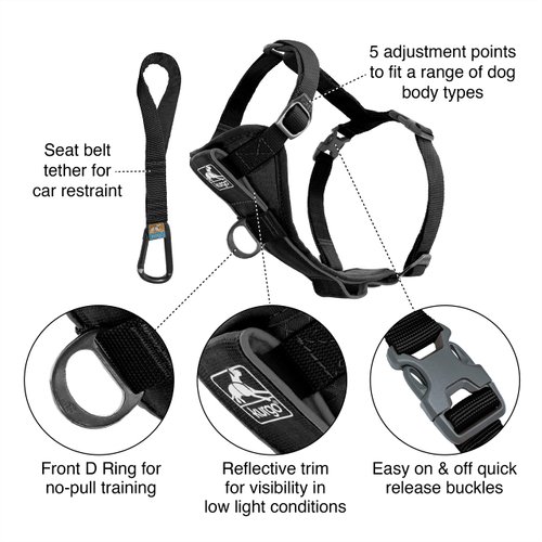 Kurgo Dog Harness | Pet Walking Harness | Small | Black | No Pull Harness Front Clip Feature for Training Included | Car Seat Belt | Tru-Fit Quick Release Style