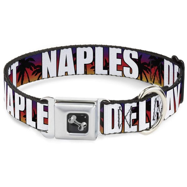 Dog Collar Seatbelt Buckle Florida Cities Palm Tree Sunset White 15 to 26 Inches 1.0 Inch Wide
