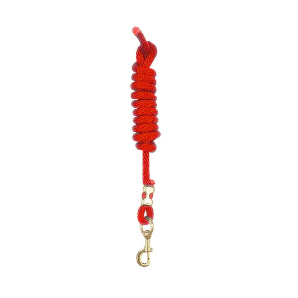 Perri's Poly Nylon Lead with Snap, Red, 8-Feet