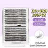 EYEBERLY Individual Lashes, 280pcs 30+40D Wispy Lash Clusters, C Curl Lash Extension, Natural Looking DIY Faux Mink Cluster Eyelash Extensions at Home (30D+40D-0.07C-9-18mm)