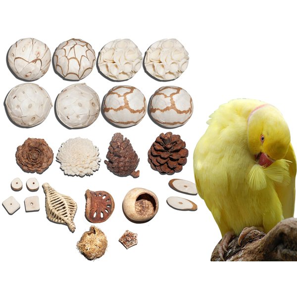 AEspares Bird Toys Interactive and Durable Play Toys for Pet Birds Parrots Cockatiels Conures Caiques Parakeet Budgies Other Parrots Breeds and Birds Breeds (Bird Toy Set 23 Pieces)