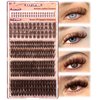 Eefofnn Brown Lash Clusters 360 pcs Eyelash Extension Natural Individual Lashes Brown Wispy+50P+60P+80P+Bottom Lashes Clusters DIY Lash Extension 5 Styles Cluster Lashes D Curl Lash Extension