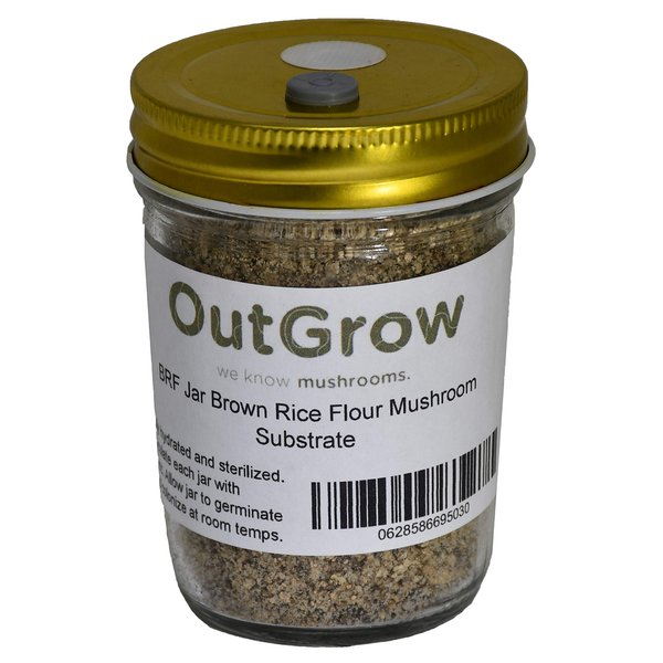BRF Jars Brown Rice Flour Mushroom Substrate