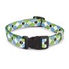 Casual Canine Nylon Pooch Patterns Dog Collar, Fits Necks 14" to 20", Blue Argyle