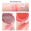 BLUE LOVE Cushion Liquid Blush for Cheeks with Mirror, Natural and Elegant Face Makeup Blush Cream, Silky Face Blushes Cheek Tint, Contour & Highlight Face for Sheer Finish (Peach Pink)