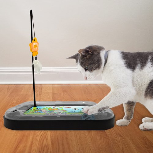 LOVINPUP Cat Scratching Toy with Scratcher Board and Fish Aquarium Design, Fun and Exciting Catnip Cat Toy, Floppy Fish Toy with Feathers and Catnip Included