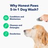 Honest Paws Dog Shampoo and Conditioner - 5-in-1 for Allergies and Dry, Itchy, Moisturizing for Sensitive Skin - Sulfate Free, Plant Based, All Natural - Oatmeal & Aloe -16 Fl Oz
