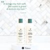 Yobee Naturally Rebalancing Shampoo - Dry & Itchy Scalp Treatment with Probiotic Extracts, Organic honey and Turmeric, Vitamin B12 and Oat Extract - Dandruff, Seborrheic Dermatitis & Psoriasis Relief