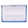 MUNGYO Oil Pastels MOP Series Chalk Art for Art Making (MOP36)