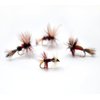 Outdoor Planet Dry Fly 12 Royal Coachman/Wulff/Humpy/Renegade Fly Lure Assotment for Trout Fly Fishing Flies