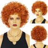 HUNIGIR Orange Curly Wig Women Short Afro Wig 70s Orange Wig for Unisex Adult Heat Resistant Synthetic Cosplay Halloween Costume Wig (Orange)