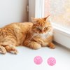 POPETPOP 10pcs Cat Toy Balls with Bell Plastic Lattice Jingle Balls Kitten Chase Pounce Rattle Toy for Pet Birthday Party Favor Supplies Blue Pink
