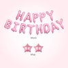Amandir Pink Birthday Decorations for Women Girls, Pink Silver Balloon Crown Happy Birthday Banner Foil Balloons Fringe Curtains Glitter Silver Star Garland for Girl Women Birthday Pink Party Supplies