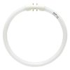 Philips 166017 - TL5C 22W830 (FC9T5/830) Circular T5 Fluorescent Tube Light Bulb