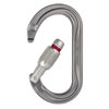 Petzl OK Carabiner - Oval Carabiner for Use with Pulleys and Ascenders for Climbing and Glacier Travel - Screw-Lock