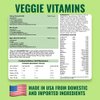 Dog Vitamins Supplements Raw and Homemade Dog Food Multivitamins Minerals Powder 1lb Veggie Flavor