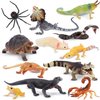 Toymany 12PCS Reptile Animal Figurine Toys Set，Cold Blooded Amphibians Desert Animal Figures Set with Komodo Dragon Lizard Snake Chameleon Toy Birthday Gift Party Favor for Kids Toddlers