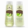 Herbal Hair Shampoo and Conditioner Set - with Leech Lime and Centella for Thick, Long and Healthy Hair Growth - Paraben Free - 100% Vegan