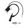 STRONGTHIUM 212cc GX160 Ignition Coil Assemlby for Honda GX200 GX120 GX140 Predator 212 224cc Coleman 196cc 5.5 6.5 hp
