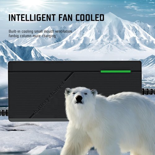 12V Lithium Battery Charger, 14.6V 3A LiFePO4 Battery Charger, Smart Battery Maintainer Trickle Charger, with LED Indicator, Built-in Safety Protections, Special for 12V LiFePO4 Battery