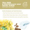 Petal Fresh Tea Tree & African Black Soap Facial Scrub, Pure Blemish Control, Clean Skincare, Natural Face Scrub, Daily Skincare, Vegan and Cruelty Free, 7 oz