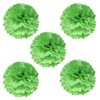 Wrapables® 8" Set of 5 Tissue Pom Poms Party Decorations for Weddings, Birthday Parties Baby Showers and Nursery Décor, Lime Green