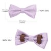 LaReine Personalized Breakaway Cat Collar with Bell & Bow Tie, Stainless Steel Slide-on Pet ID Tag Engraved with Name & Phone Numbers, (Customized - 7"-11" Neck, Bling Purple)