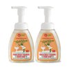 Rebel Green Foaming Hand Soap - Moisturizing Natural Bathroom & Kitchen Liquid Foaming Soap - Gentle Household Hand Wash with Chamomile & Orange Blossom Scent - (8oz, 2 pack)
