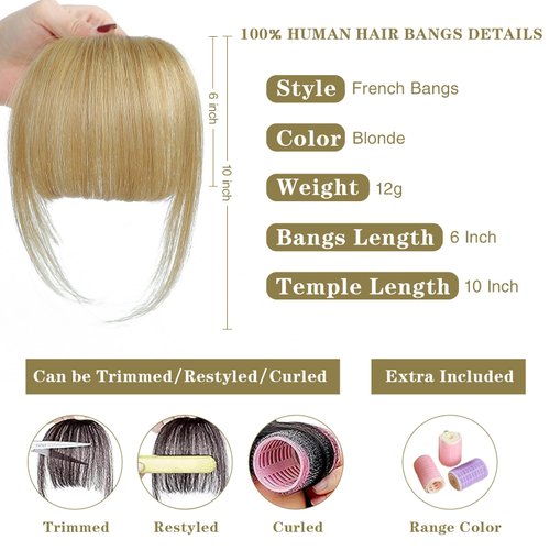 BUPPLER Clip in Bangs 100% Real Human Hair Pieces Hair Clip on bangs for women Faux Bangs Clip in Hair Extensions with Hair Roller for Daily Wear(5.5 * 6 Inch, Blonde)