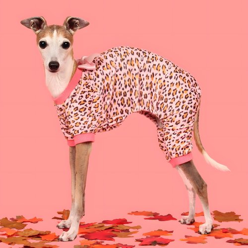 Fitwarm Leopard Dog Pajamas, Fleece Dog Clothes for Small Dogs Girl with Legs, Pet Onesie, Cat Outfit, Pink, XL