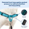 PetSafe® Deluxe Easy Walk® Dog Harness, No Pull Harness, Stop Pulling, Great For Walking and Training, Comfortable Padding, For Small Dogs- Steel/Black, Small