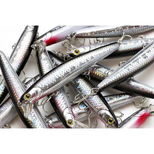 LUCKY CRAFT Flashminnow 110 (765 MS Anchovy), Surf Fishing Lure