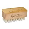 green sprouts Nail Brush