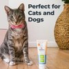 Oxyfresh Premium Dog Toothpaste – Best Dog Teeth Cleaning & Dog Plaque and Tartar Fighter – Safe for Cat Toothpaste Too – Vet Formulated Pet Toothpaste, 4oz